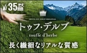トゥフ・デルブ